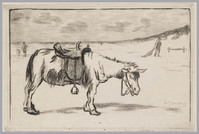 KG 08195
<br/>
Ezel op het strand
<br/>
<em>Grootens, Adrianus Johannes (1864-1957)</em>